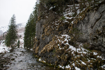 Potok przy skałach - dolina kościeliska