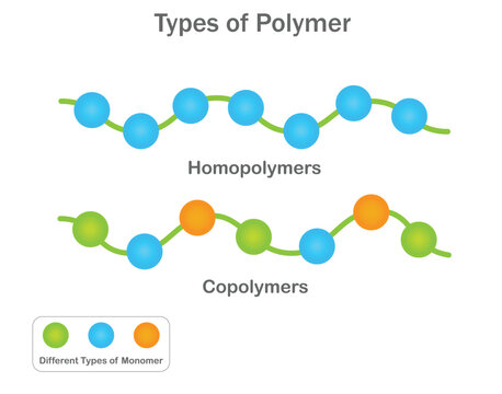 Homopolymers are made of identical monomers, while copolymers combine different monomers to create materials with diverse and enhanced properties for various applications