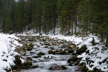 Krajobraz z górski, tatrzańskim potokiem w zimie