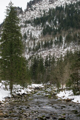 Górski potok w tatrach zimą