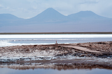 View of Laguna Tebinquiche in Atacama desert, Chile.View of Laguna Tebinquiche in Atacama desert, Chile.v