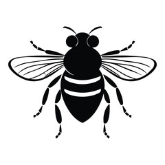 Fly Flat Icon Isolated On White Background
