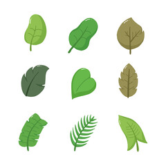 Leaf hand drawn vector illustration