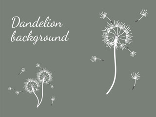 Abstract dandelion background design, great design for any purpose. Natural beauty. Brochure layout template background. natural wind. Spring banner.