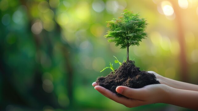 Environment concept, Earth Day In the hands of trees growing seedlings, Bokeh green Background, Female hand holding tree on nature field grass Forest conservation concept, generative ai