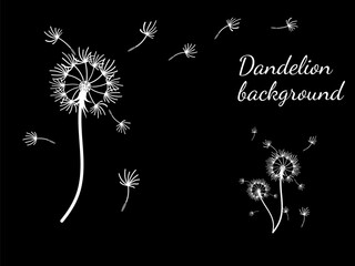 Abstract dandelion background for design. The wind blows dandelion seeds. Template for posters, wallpapers, posters. Vector illustration.