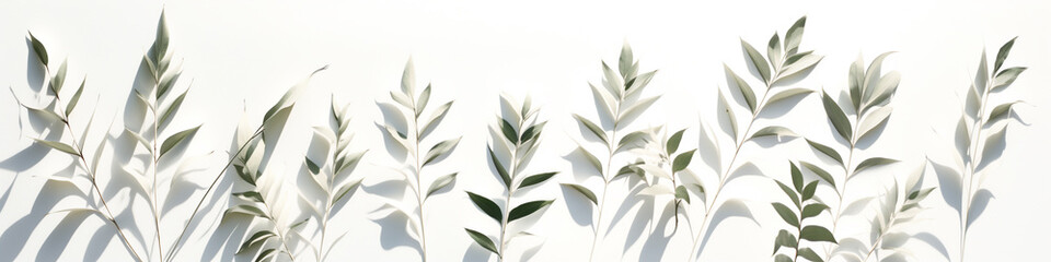 Fototapeta na wymiar Blurred shadow of plant leaves on the white wall background
