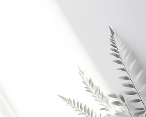 Blurred shadow of plant leaves on the white wall background