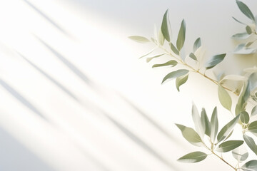 Blurred shadow of plant leaves on the white wall background
