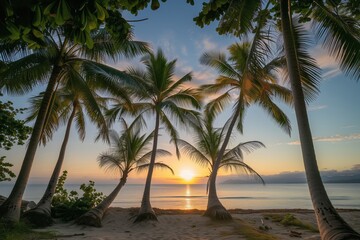 Sun Setting on a Beach With Palm Trees landscape sunset