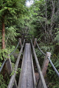 Kyrillpfad Willingen; Germany; Hesse
