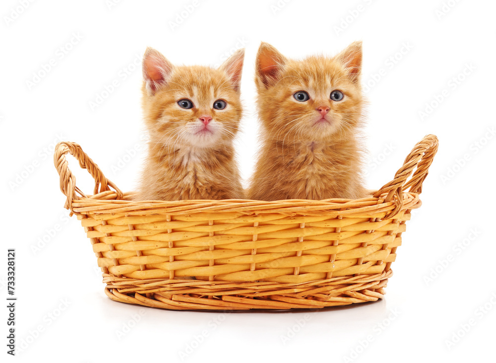 Sticker kittens in a basket.