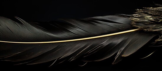 macro photo of golden brown chicken feathers.