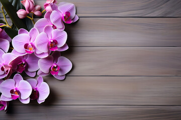Pink and Purple Orchid Flower Gracing a Wooden Background, Unveiling the Beauty of Texture in Floral Creation. large copy space for happy wishes and product message