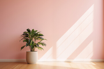 Potted plant standing against light pink wall under bright sunlight, photo with space for text. Suitable for banners, flyers, business cards, website backgrounds and promotional materials