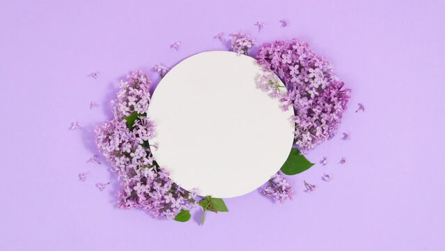 Natural branches and flowers of lilac appear near round white piece of paper. Сoming of spring. Lilac background. Template for text or design. Greeting card. Stop motion animation. Copy space. Flat La