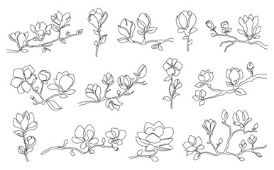 One line magnolia flowers. Blooming magnolia branches, minimalist floral spring-themed art hand drawn vector illustration set