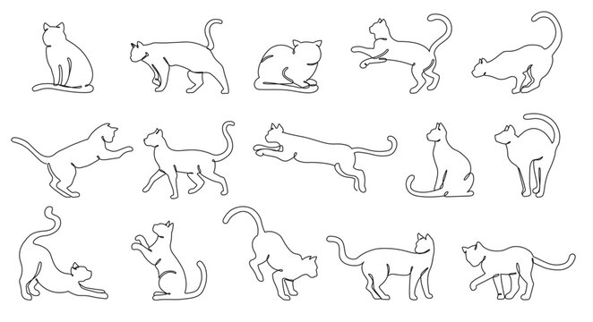 Continuous one line cats. Minimalist feline outlines, various cat poses and kitten activities hand drawn vector illustration set