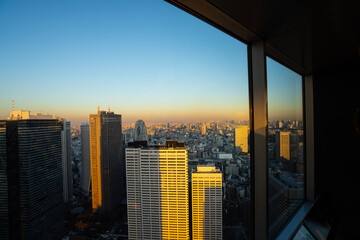 Fototapeta na wymiar panoramic view of Tokyo, Japan at sunset