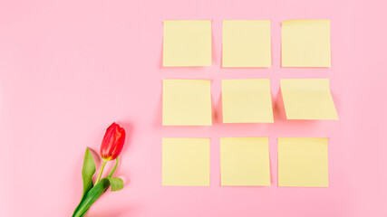 Nine clean stickers on pink background with red tulips. Copy space. Tear-off paper for note, reminder or quick memo message, idea thoughts organizer. Mockup concept to business holiday of woman day