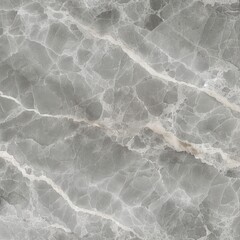 Obraz premium light gray natural stone texture marble