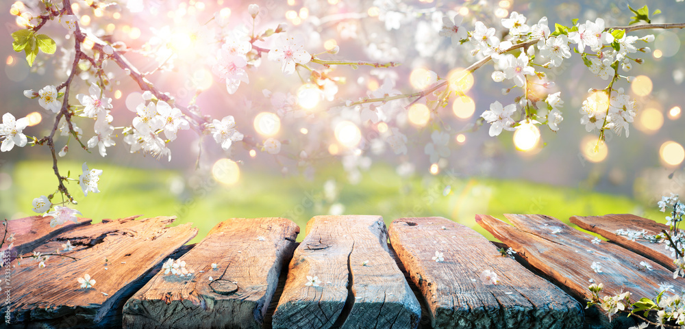 Wall mural spring table - cherry flowers on branches in abstract defocused background with bokeh lights