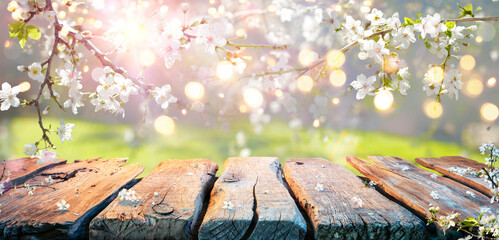 Spring Table - Cherry Flowers On Branches In Abstract Defocused Background With Bokeh Lights