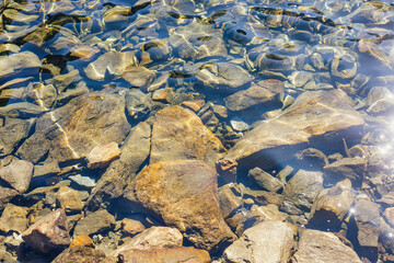 rocky bottom of a clean mountain river with clean water - 733361533