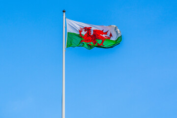 The welsh flag flying in the wind; white and green flag with a red dragon flying high on a flagpole - 733369990