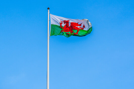 The welsh flag flying in the wind; white and green flag with a red dragon flying high on a flagpole