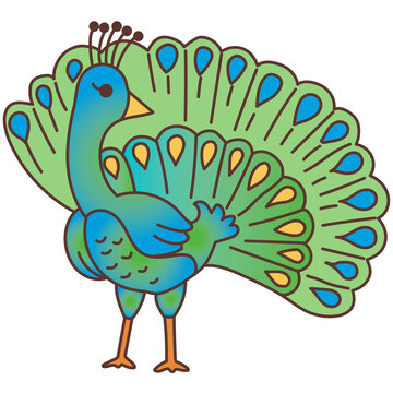 peacock cartoon doodle