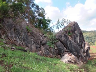 Chiang Dao National Park 