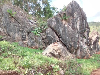 Chiang Dao National Park 