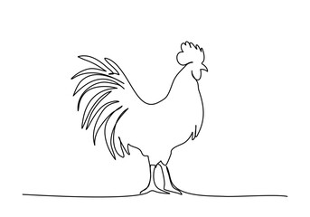 Fototapeta na wymiar Rooster, one line drawing vector illustration.