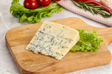 Gourmet blue cheese with mold