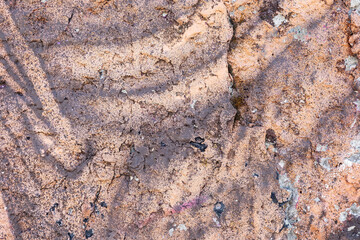 A beige old painted concrete wall is finely splattered with brown colour paint