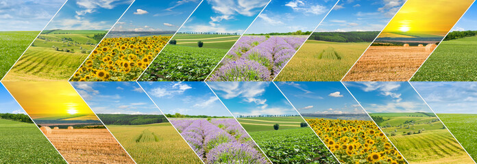 Agricultural fields and blue sky. collage. Wide photo.