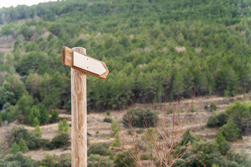 rrow direction sign on a wooden pole, outdoors 