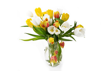 spring colorful fresh tulips on white background