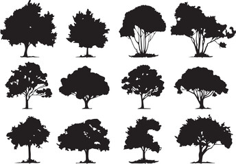 Set Trees. Hand drawn vector illustration	