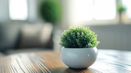  a small green plant in a white bowl on a wooden table in front of a couch in a room with sunlight streaming through the window and a couch in the background.