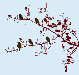 Vector illustration of silhouettes sparrows birds flock sitting on oak tree branches on autumn day - 733393371