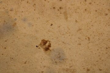 Old battered paper texture or background