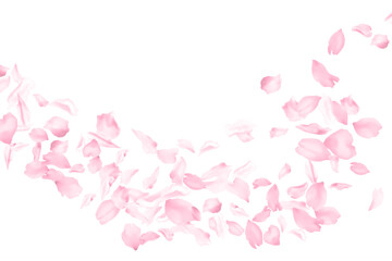 Cherry blossom flying petals flower parts falling with wind isolated on white. Vector Valentine's Day background illustration. Sakura blossom pink flower petals. Brooming peach tree elements. - obrazy, fototapety, plakaty