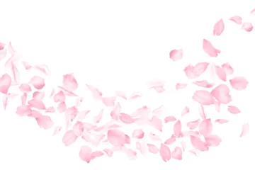 Foto op Aluminium Cherry blossom flying petals flower parts falling with wind isolated on white. Vector Valentine's Day background illustration. Sakura blossom pink flower petals. Brooming peach tree elements. © SunwArt