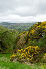 Aussicht im Clyde muirshiel regional park, bei Greenock, Inverclyde, Schottland