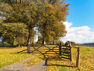 A rural country scene on a sunny autumn day near Chard Somerset