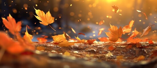 Naklejka na ściany i meble autumn leaves falls in autumn
