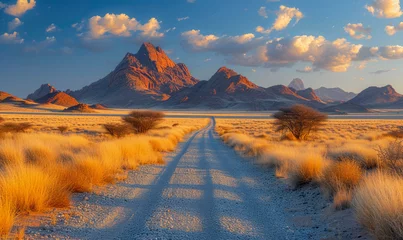 Fotobehang Endless gravel road. Spitzkoppe in a distance. Blue sky with clouds © Tjeerd