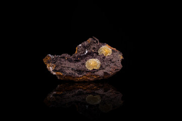 austinite crystals photography isolated on black blackground. From Ojuela Mine, Mapimi, Durango,...